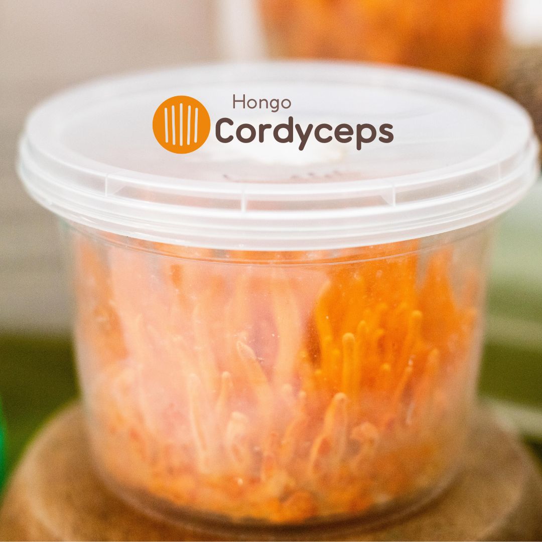 Cordyceps