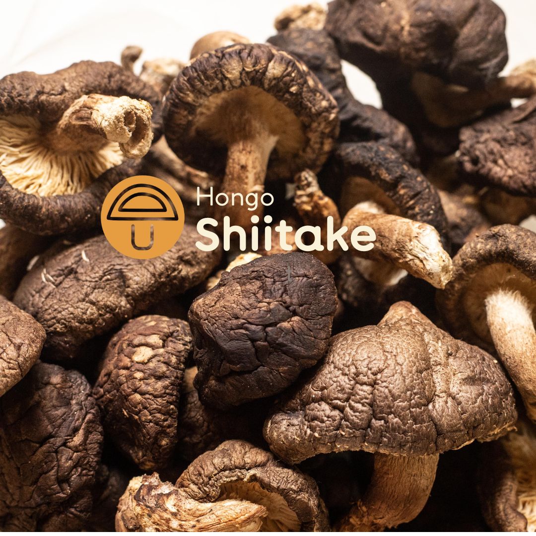 Shiitake