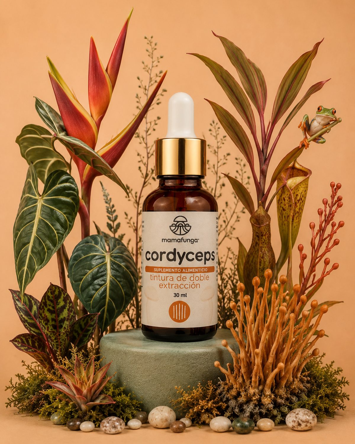 Cordyceps - Double Extraction Tincture