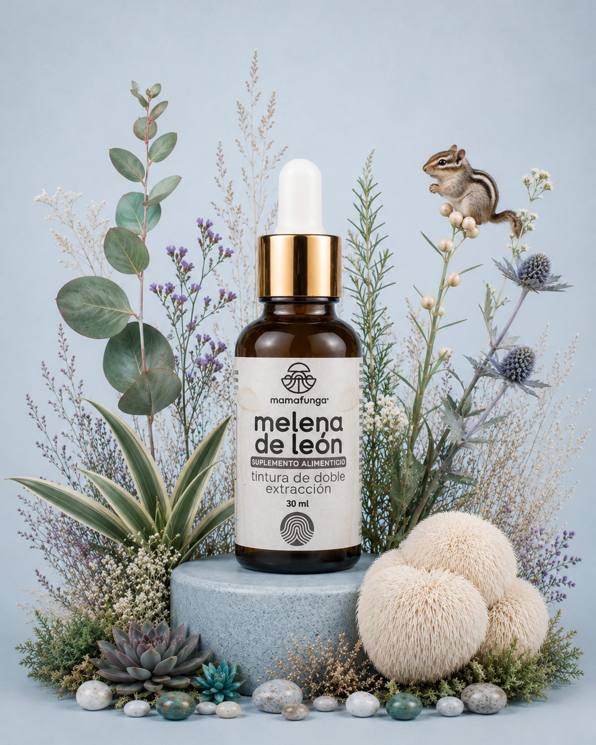 Lion's Mane - Double Extraction Tincture